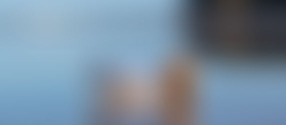 So, why do we write?