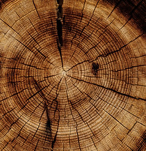 holz & hand
