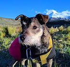 Image by Christian V.