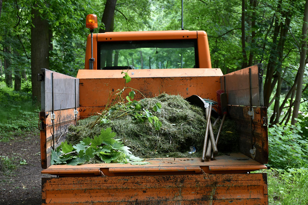 Pickup truck bed loaded with yard debris for hauling away