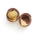 huile de macadamia écocertifiée, terra di natura