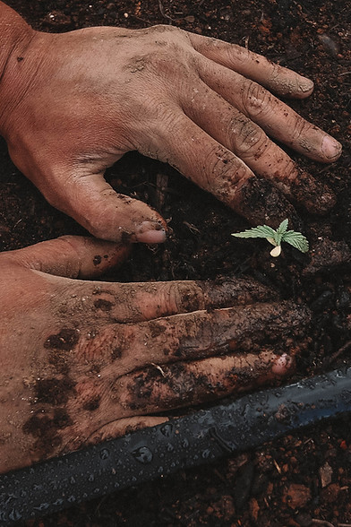 Image by GreenForce Staffing