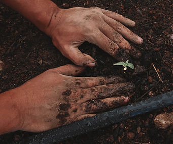 Image by GreenForce Staffing