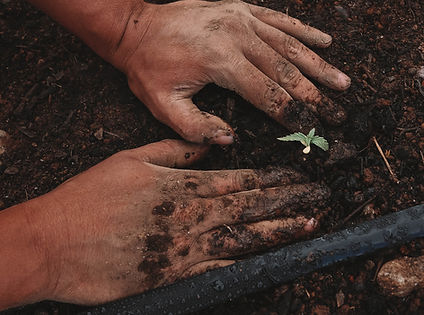 Andrea Meronuck gardening Wild Seed Somatic Therapy