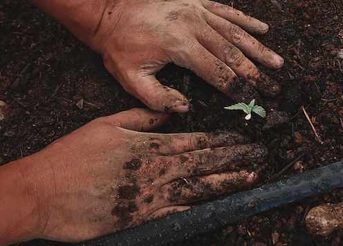 Image by GreenForce Staffing