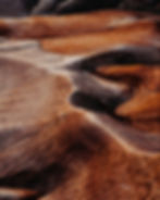 Image by trail