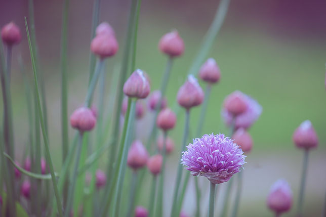 Image by Boys in Bristol Photography