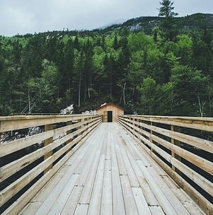 Image by Frede Langlois