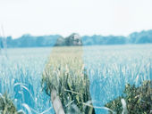 The Invisible Field of Intention