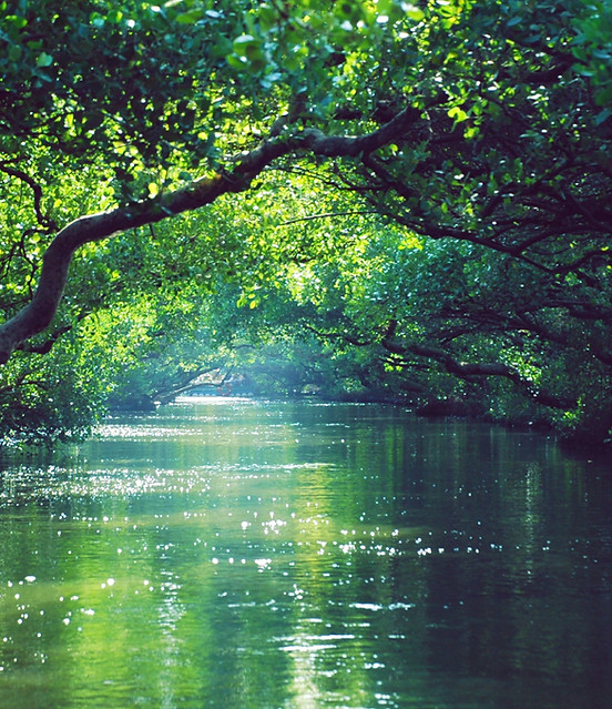 Image by Tienko Dima