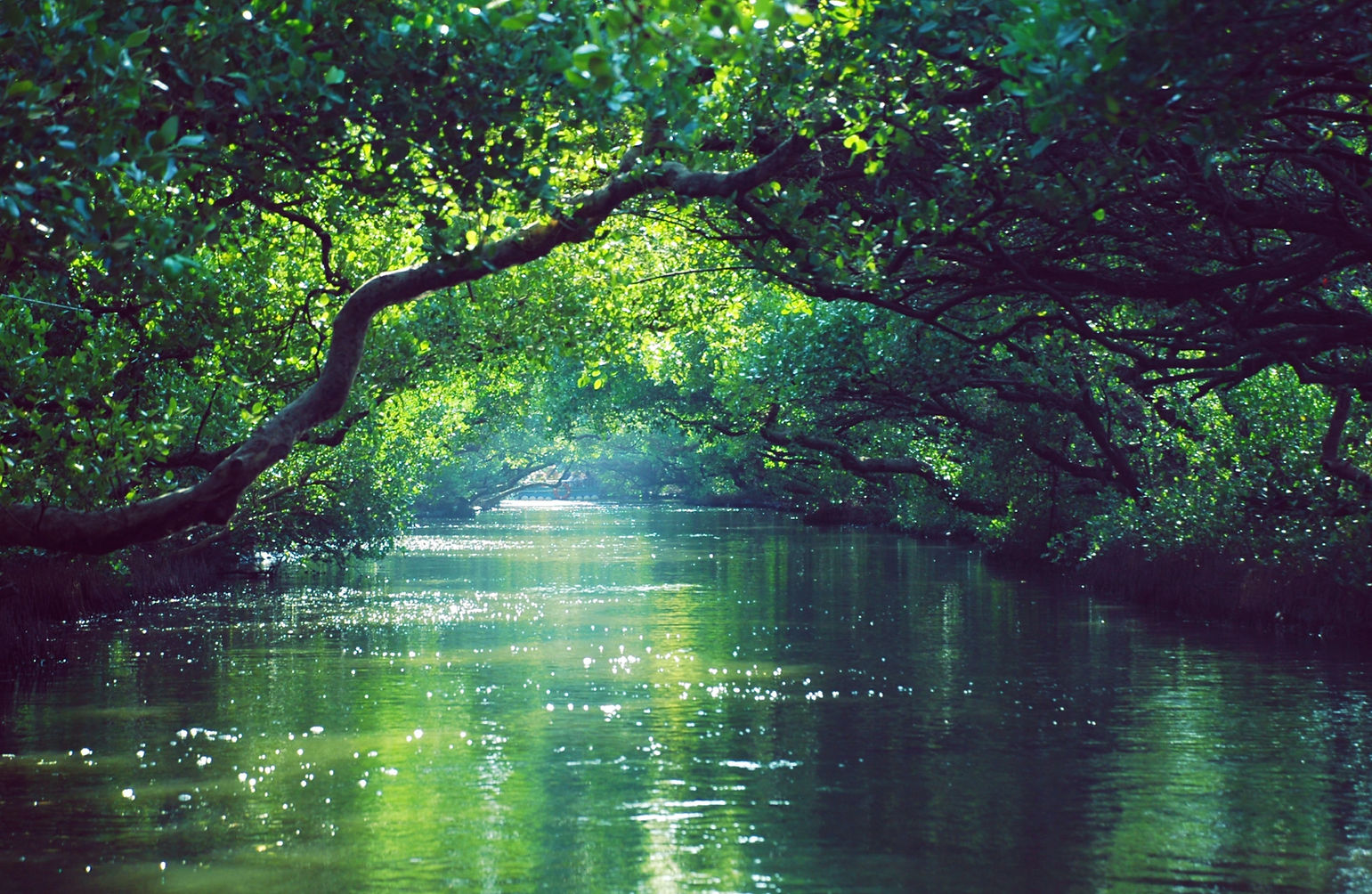 Image by Tienko Dima