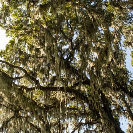 Hilton Head Island, SC