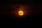 Lunar Eclipse in Virgo Rebirthing Ceremony & Gong Bath           with the Blood Moon