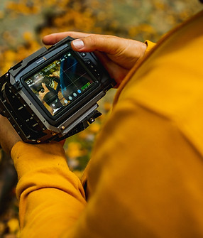 Image by Cody Scott Milewski