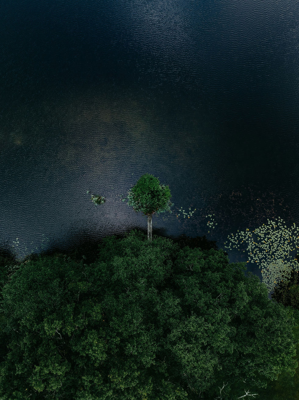 Image by Kristaps Ungurs