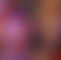 Build Your Own Free Tech Rider