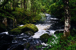 Image by Ian Cylkowski