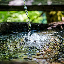 Image de Frank Albrecht