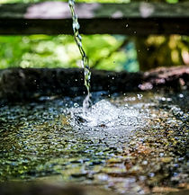 Wasser