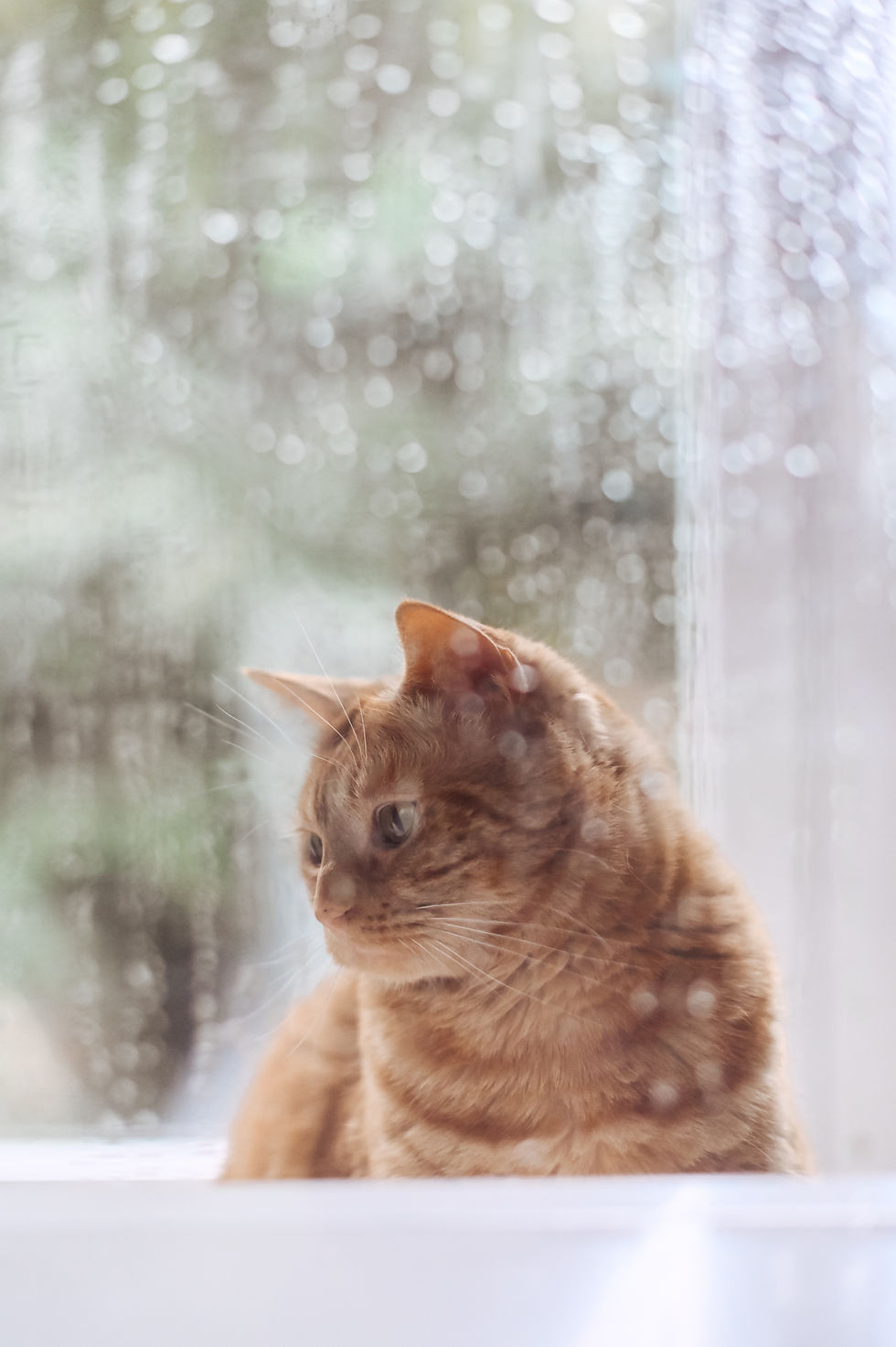 In de regen staan.