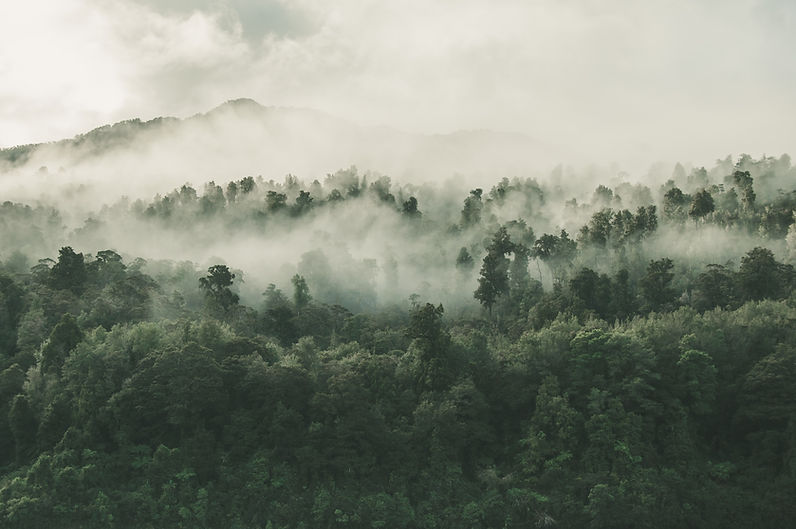 Image by Tobias Tullius