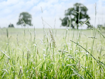 Have the Church in Wales kicked same-sex marriage into the long grass?