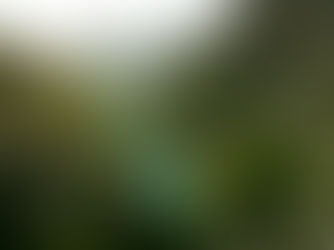 The Gorges du Verdon: a natural wonder in the heart of Provence