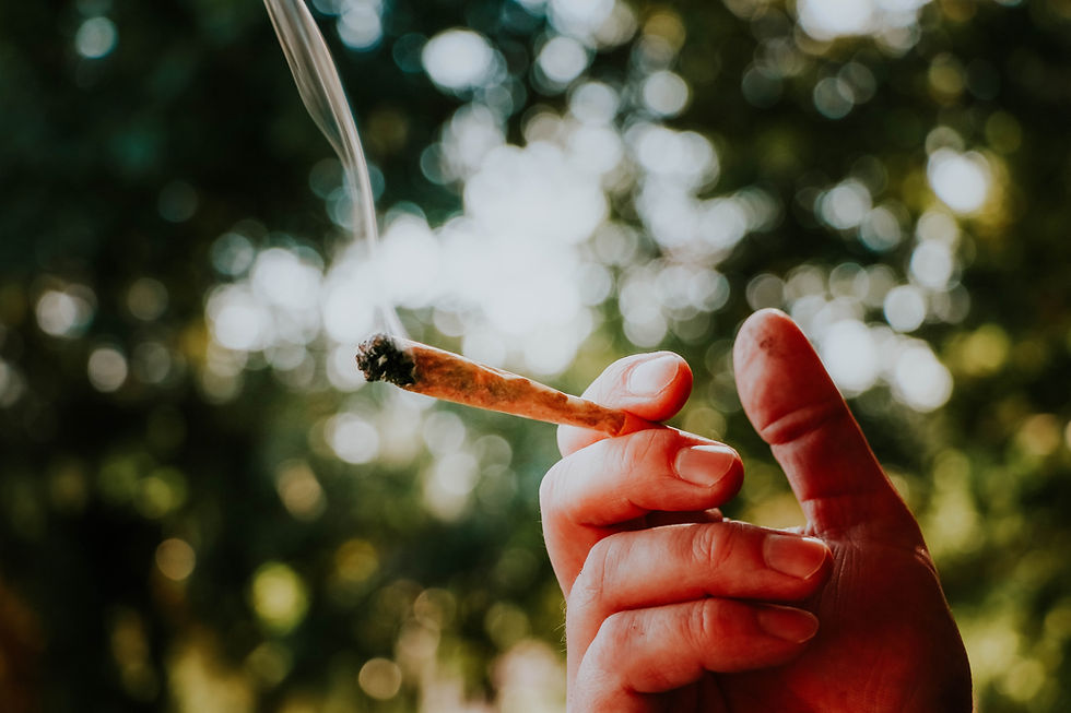 SA Medical Journal: “Impossible to Argue That Teenage Cannabis Use is Safe”