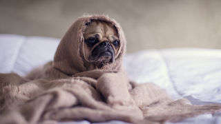 Stress: How It Affects Our Body and the Healing Power of Massage