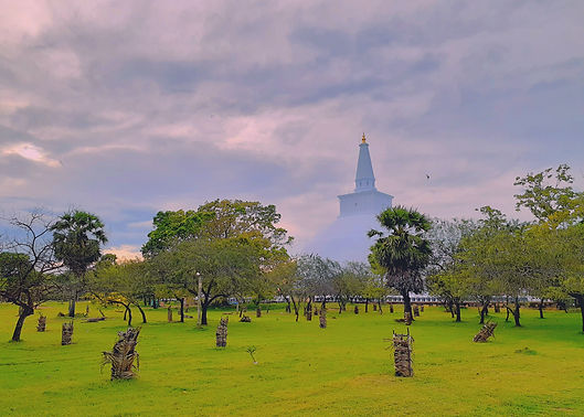 Image by Izuru Kannagara
