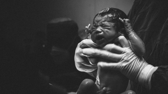 Oh To Be Wise Meditations