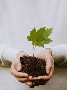 The Gift and the Keeping: Biblical Stewardship in Everyday Life