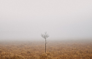 Image by Annie Spratt