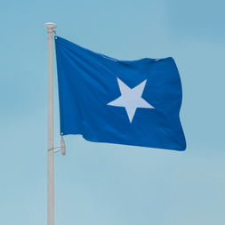 Somalia Public Tenders Guide: Bid Security, Documentation and Award Criteria