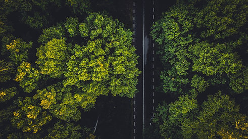 Image by Vlad Hilitanu