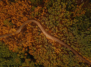 Image by Taylor Brandon