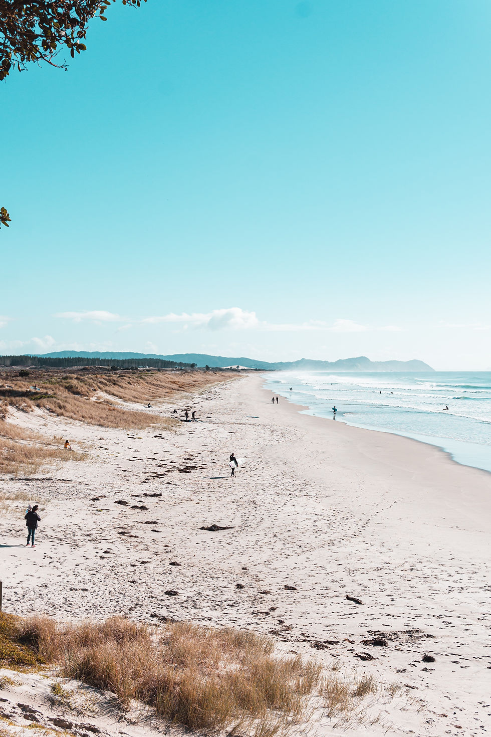 Sunny beach view for a Travel Guide New Zealand