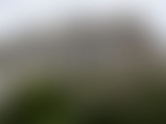 A historic, weathered mansion stands amidst lush greenery and blooming shrubs, showcasing its aged charm and enduring presence against a cloudy sky.