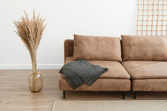 sofa steam cleaning portland