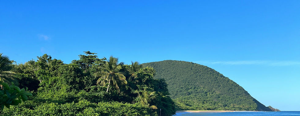 Lieferung von Paddelkajaks in Guadeloupe