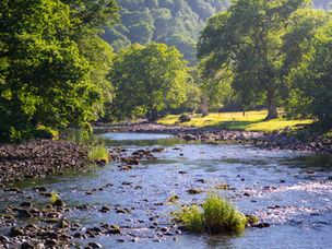 Glade Ecology White-Clawed Crayfish Survey Devon