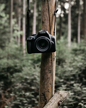 Image by Tiard Schulz