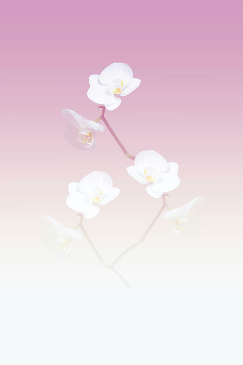 Image by Danielle Suijkerbuijk