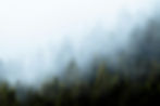 Image by Dario Jud