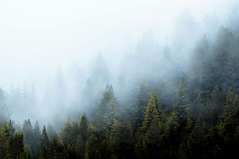 Image by Dario Jud