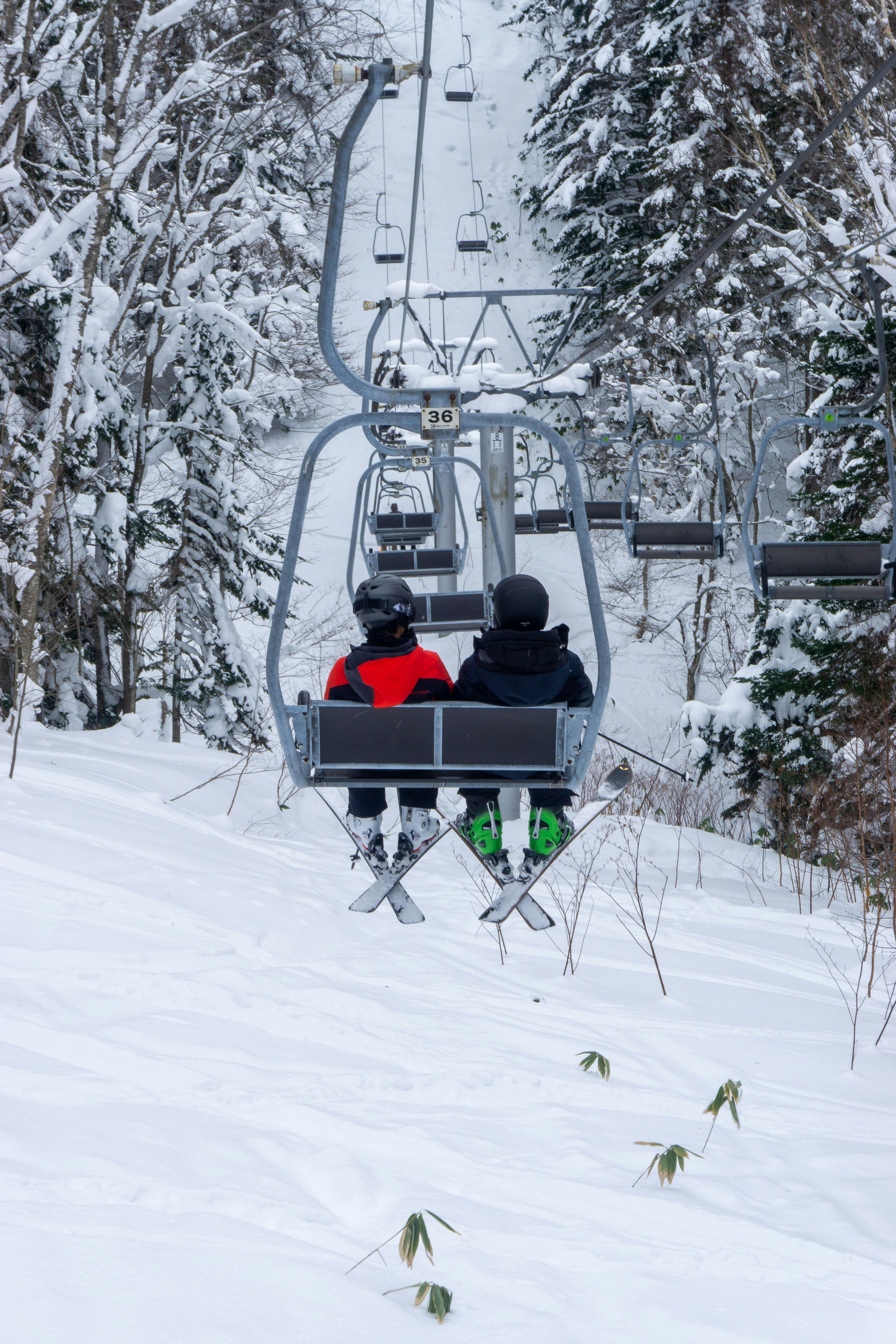 Dónde esquiar en Japón: Mejores pistas de esquí y snowboard en Japón