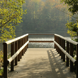 Eine kleine Seebrücke im Wald in der Granitz an Selliner See in Sellin