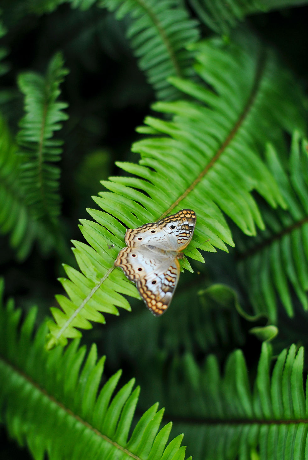 Image de Michaela Murphy