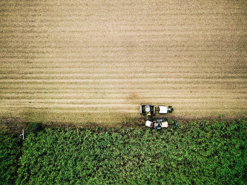 Image by Josh Withers