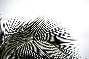 Image by Colton K